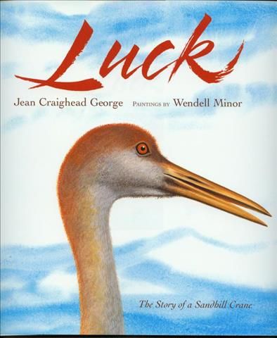 Produktbild: Luck (1 Hardcover/1 Cd)