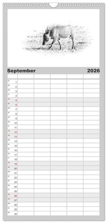 Produktbild: Familienplaner 2026 - AFRIKA - Schwarz-weiss Fotografien im modernen "High Key" Look mit 5 Spalten (Wandkalender, 21 x 45 cm) CALVENDO