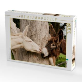 Produktbild: CALVENDO Puzzle Poitou Esel und wei&szlig;er Esel | 1000 Teile Lege-Gr&ouml;&szlig;e 64x48cm Foto-Puzzle f&uuml;r gl&uuml;ckliche Stunden