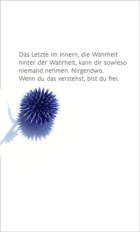 Produktbild: Museum der Einsamkeit