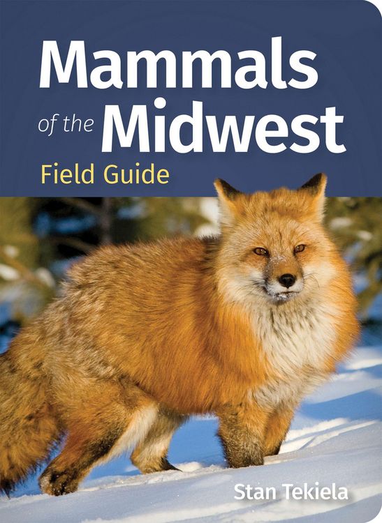 Produktbild: Mammals of the Midwest Field Guide