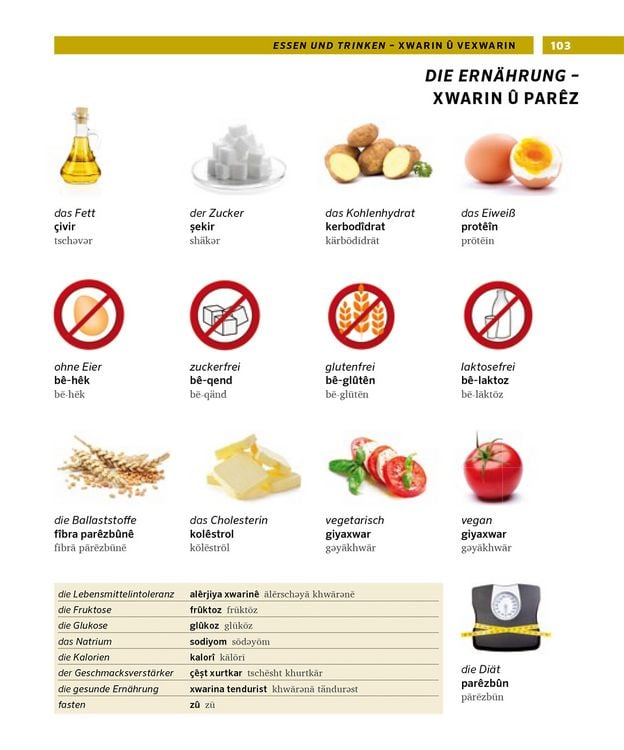 Produktbild: PONS Bildw&ouml;rterbuch Kurdisch