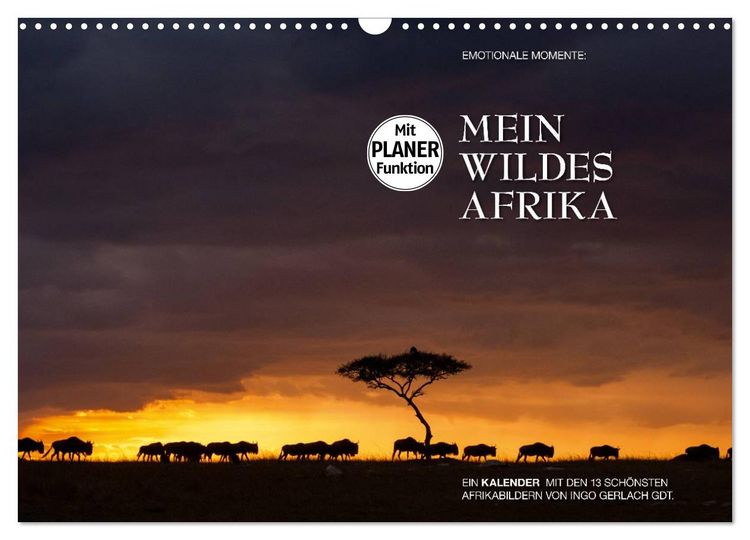 Produktbild: Emotionale Momente: Mein wildes Afrika (Wandkalender 2026 DIN A3 quer), CALVENDO Monatskalender