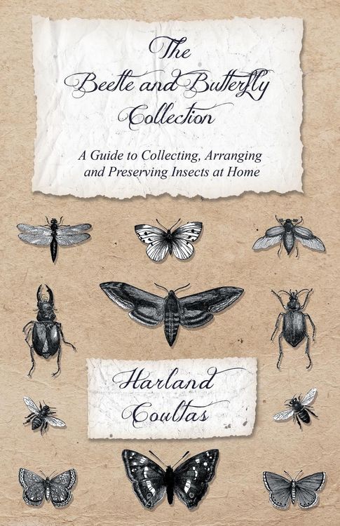 Produktbild: The Beetle and Butterfly Collection - A Guide to Collecting, Arranging and Preserving Insects at Home