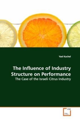 Produktbild: Kachel, Y: The Influence of Industry Structure on Performanc