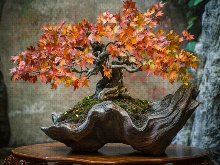 CALVENDO Puzzle Bonsai - Die Seele der Natur | 1000 Teile Lege-Gre  64x48cm Foto-Puzzle fr glckliche Stunden kaufen
