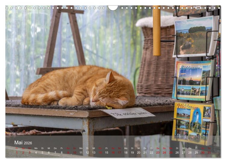 Produktbild: Inseelfeeling - Hiddensee (Wandkalender 2026 DIN A3 quer), CALVENDO Monatskalender