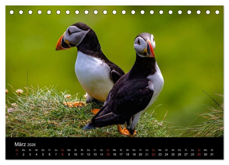 Produktbild: Schottlands Inseln (Tischkalender 2026 DIN A5 quer), CALVENDO Monatskalender