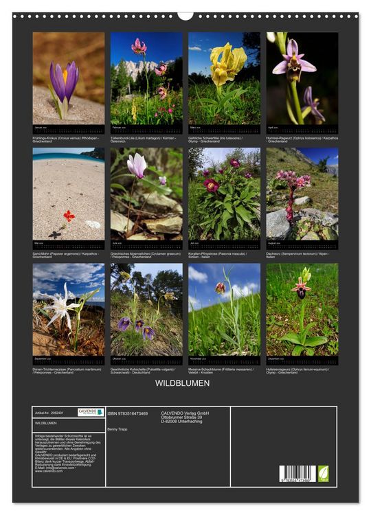 Produktbild: WILDBLUMEN (Wandkalender 2026 DIN A2 hoch), CALVENDO Monatskalender