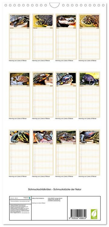 Produktbild: Familienplaner 2026 - Schmuckschildkr&ouml;ten - Schmuckst&uuml;cke der Natur mit 5 Spalten (Wandkalender, 21 x 45 cm) CALVENDO