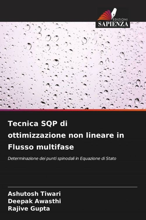 Produktbild: Tecnica SQP di ottimizzazione non lineare in Flusso multifase