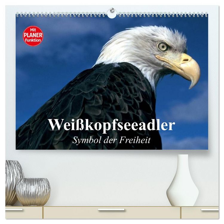 Produktbild: Wei&szlig;kopfseeadler. Symbol der Freiheit (hochwertiger Premium Wandkalender 2026 DIN A2 quer), Kunstdruck in Hochglanz