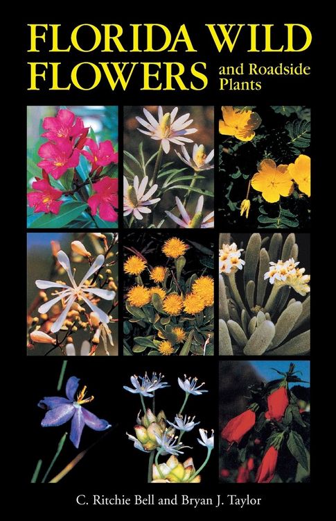 Produktbild: Florida Wild Flowers and Roadside Plants