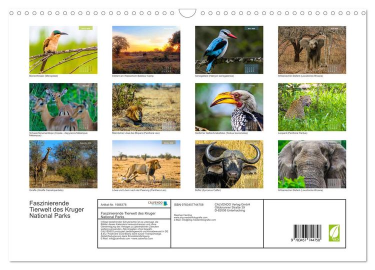 Produktbild: Faszinierende Tierwelt des Kruger National Parks (Wandkalender 2026 DIN A3 quer), CALVENDO Monatskalender