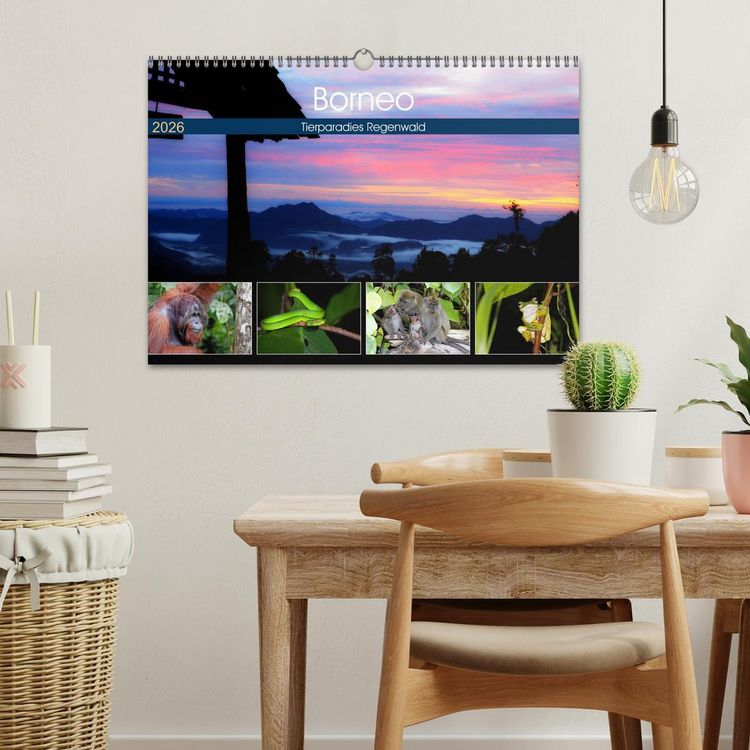 Produktbild: Borneo - Tierparadies Regenwald (Wandkalender 2026 DIN A3 quer), CALVENDO Monatskalender