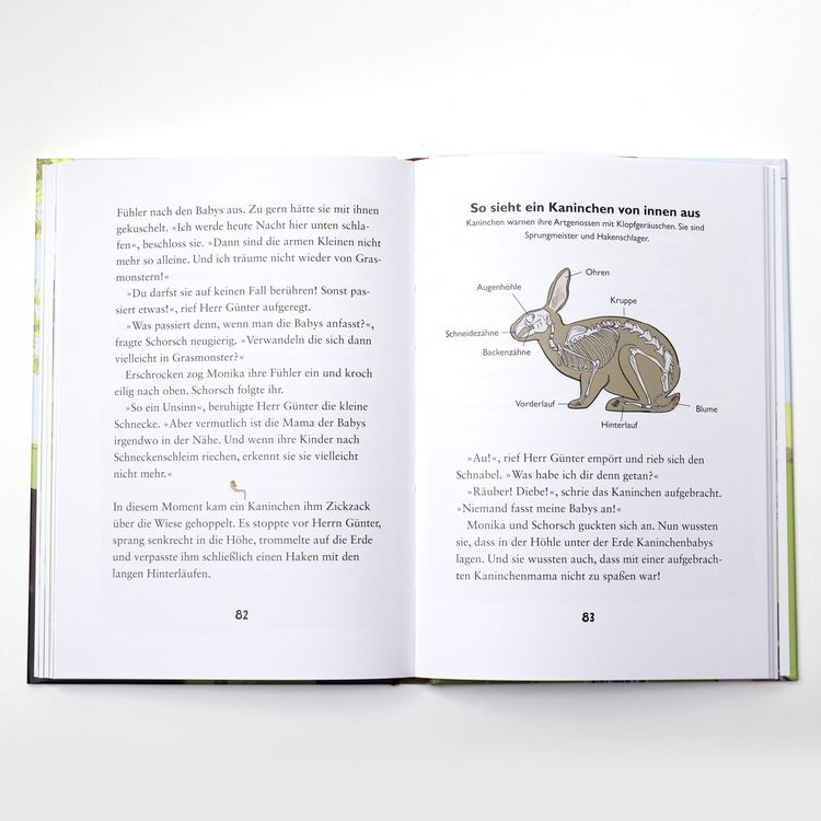 Produktbild: Die kleine Schnecke Monika Häuschen 2: Warum pupsen Schnecken?