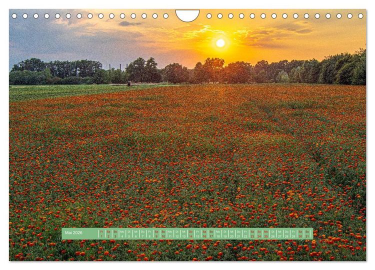 Produktbild: Wolfsburgs sch&ouml;nste Ecken (Wandkalender 2026 DIN A4 quer), CALVENDO Monatskalender
