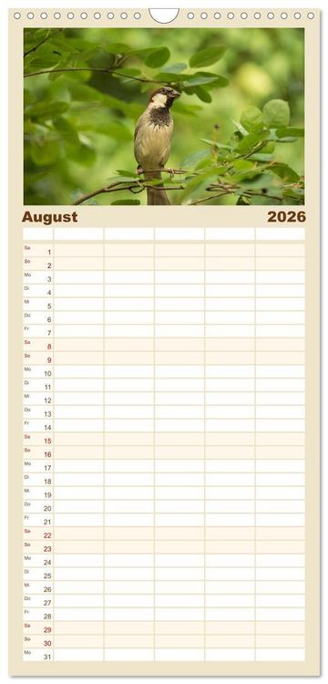 Produktbild: Familienplaner 2026 - Spatzen mit 5 Spalten (Wandkalender, 21 x 45 cm) CALVENDO
