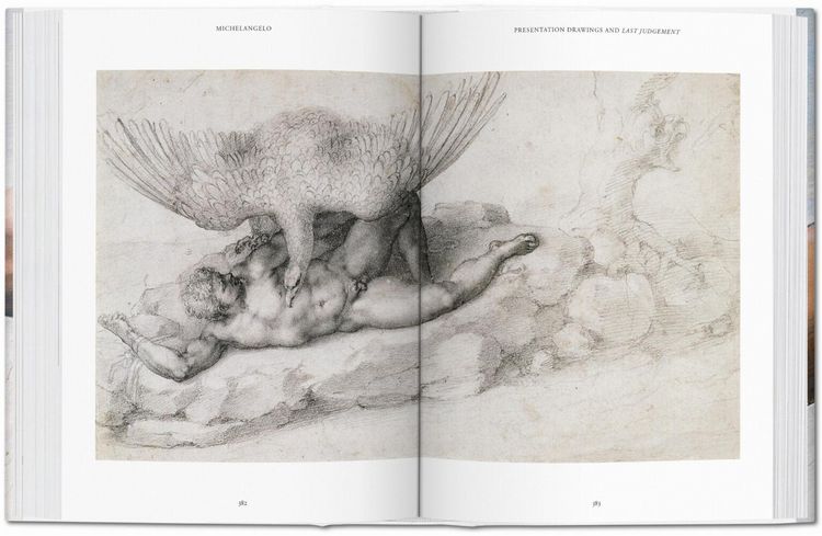 Produktbild: Michelangelo