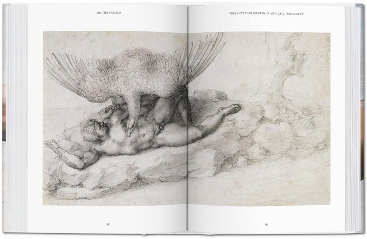 Produktbild: Michelangelo. The Complete Paintings, Sculptures and Arch.