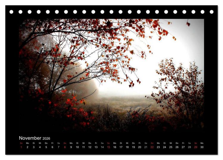 Produktbild: Landschaft Teufelsmoor / 2026 (Tischkalender 2026 DIN A5 quer), CALVENDO Monatskalender