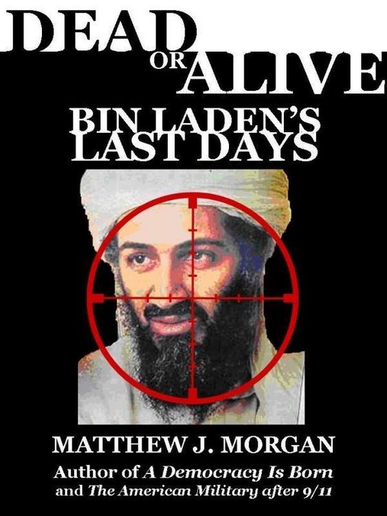 Produktbild: Dead or Alive: Bin Laden's Last Days