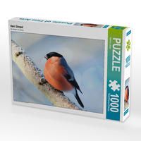 Produktbild: CALVENDO Puzzle Herr Gimpel 1000 Teile Lege-Gr&ouml;&szlig;e 640 x 480 cm Foto-Puzzle Bild von Sabine L&ouml;wer