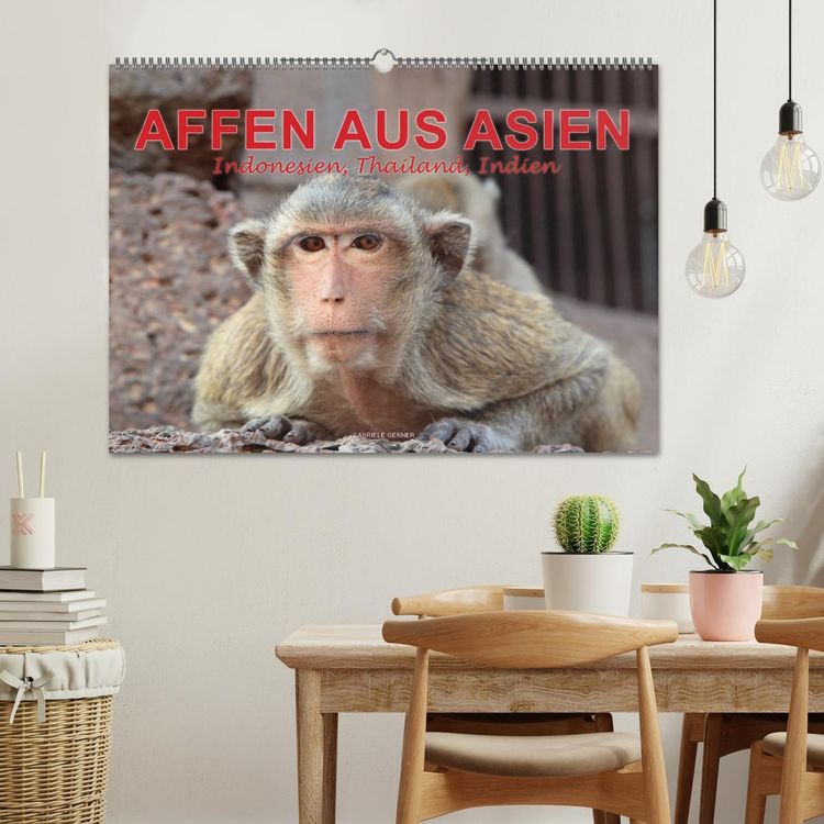 Produktbild: AFFEN AUS ASIEN Indonesien, Thailand, Indien (Wandkalender 2026 DIN A2 quer), CALVENDO Monatskalender