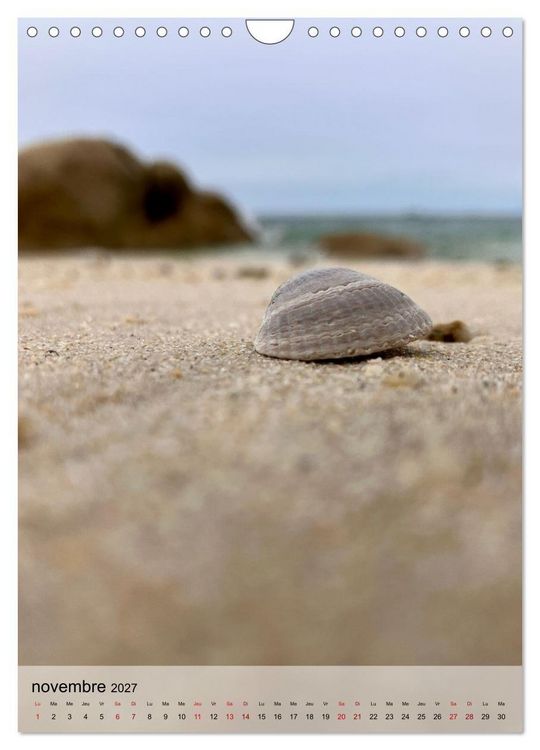 Produktbild: Plages et coquillages (Calendrier mural 2027 DIN A4 horizontal), CALVENDO calendrier mensuel