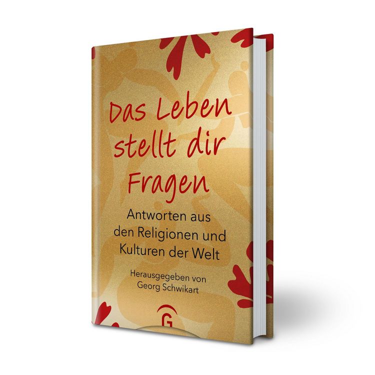 Produktbild: Das Leben stellt dir Fragen