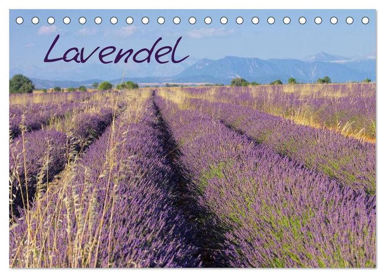 Produktbild: Lavendel (Tischkalender 2026 DIN A5 quer), CALVENDO Monatskalender