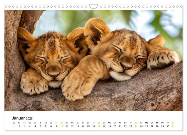 Produktbild: Wenn Tierchen tr&auml;umen (Wandkalender 2026 DIN A3 quer), CALVENDO Monatskalender