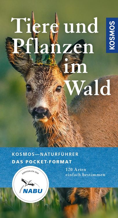 Produktbild: Tiere und Pflanzen unserer W&auml;lder