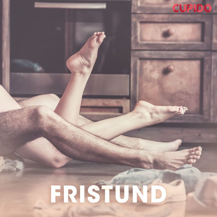 Produktbild: Fristund &ndash; erotiske noveller