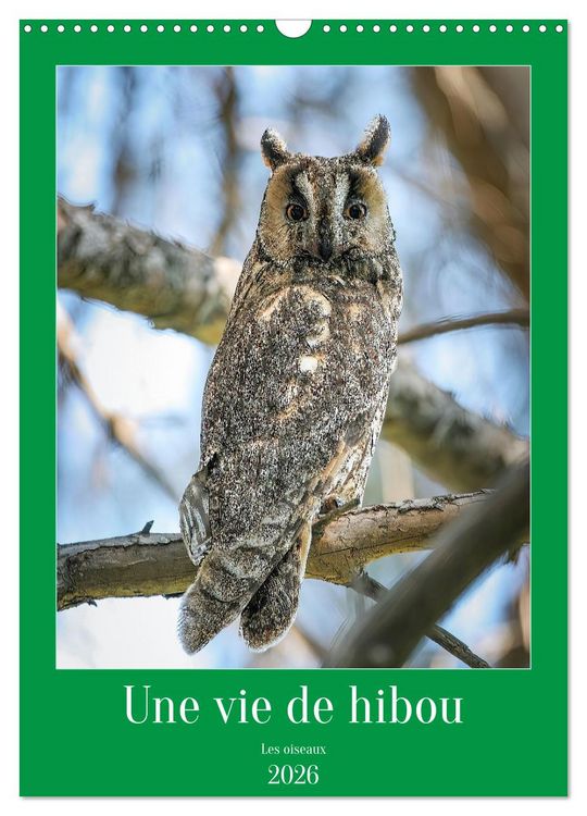 Produktbild: Une vie de hibou les oiseaux (Calendrier mural 2026 DIN A3 horizontal), CALVENDO calendrier mensuel