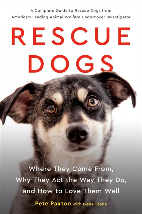 Produktbild: Rescue Dogs