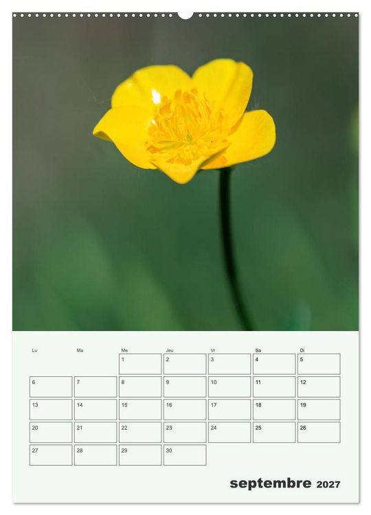 Produktbild: Fleurs en toute simplicit&eacute; - Beaut&eacute; minimaliste (Calendrier mural 2027 DIN A2 horizontal), CALVENDO calendrier mensuel