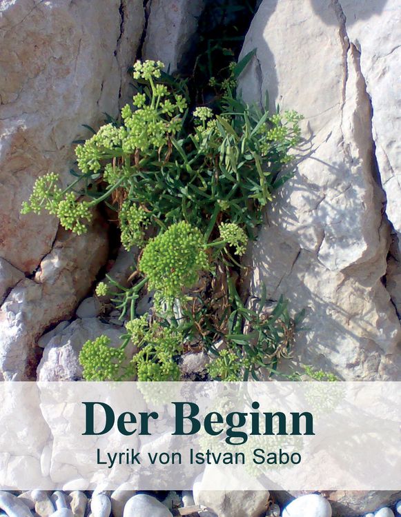 Produktbild: Der Beginn