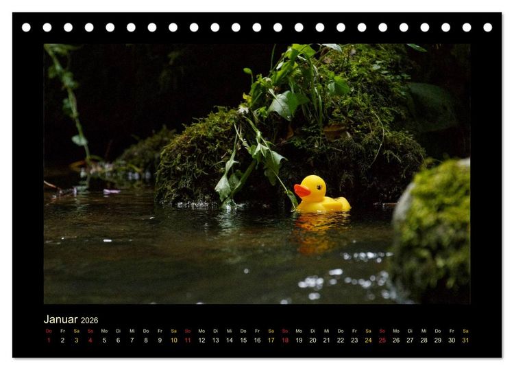 Produktbild: Enten-Rennen (Tischkalender 2026 DIN A5 quer), CALVENDO Monatskalender