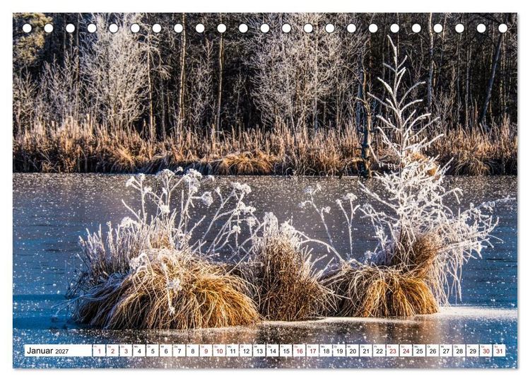 Produktbild: Das Schwenninger Moos - ein vielseitiger Lebensraum (Tischkalender 2027 DIN A5 quer), CALVENDO Monatskalender