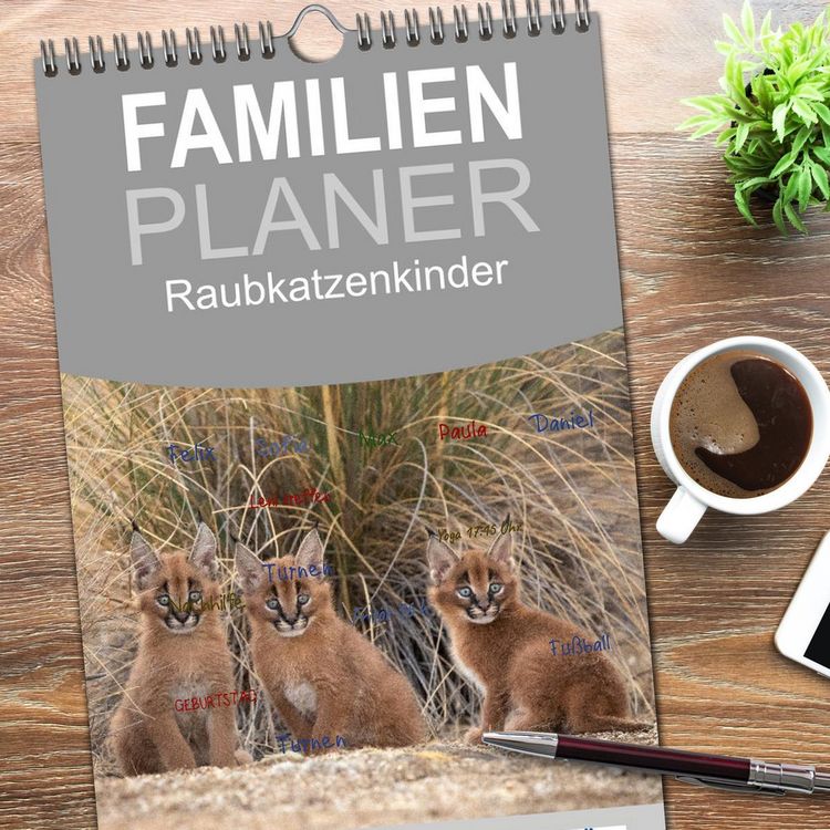 Produktbild: Familienplaner 2026 - Raubkatzenkinder mit 5 Spalten (Wandkalender, 21 x 45 cm) CALVENDO