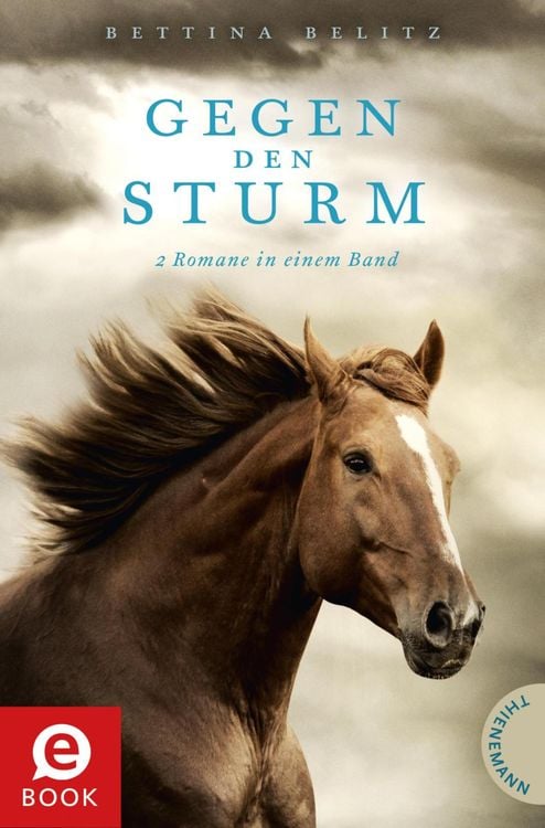 Produktbild: Gegen den Sturm