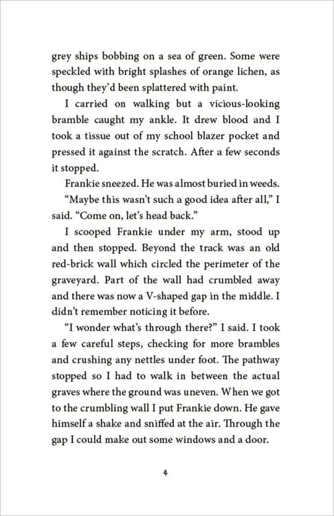 Produktbild: The Magpie Riddle: a Goldfish Boy Mystery