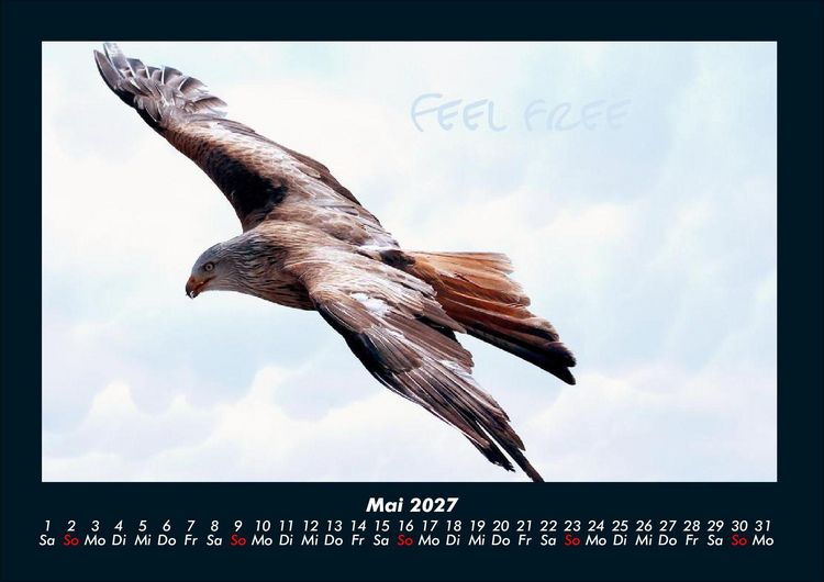 Produktbild: Adler 2027 Fotokalender DIN A4