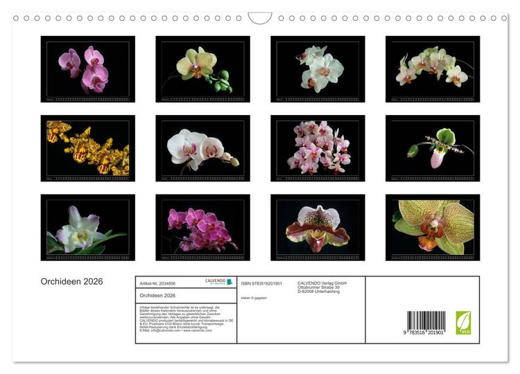 Produktbild: Orchideen 2026 (Wandkalender 2026 DIN A3 quer), CALVENDO Monatskalender