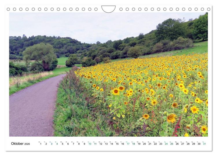 Produktbild: Die Eifel - Vulkane, Heidekraut und sanfte H&uuml;gel (Wandkalender 2026 DIN A4 quer), CALVENDO Monatskalender