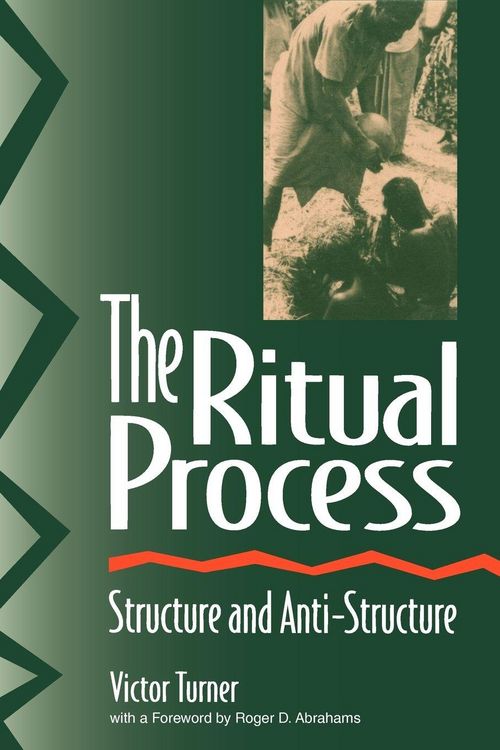 Produktbild: The Ritual Process