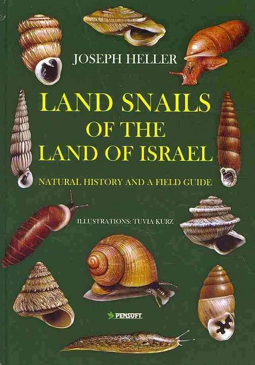 Produktbild: The Snails of the Land of Israel