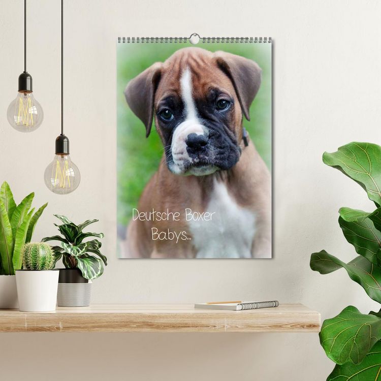 Produktbild: Deutsche Boxer Babys... (Wandkalender 2026 DIN A3 hoch), CALVENDO Monatskalender