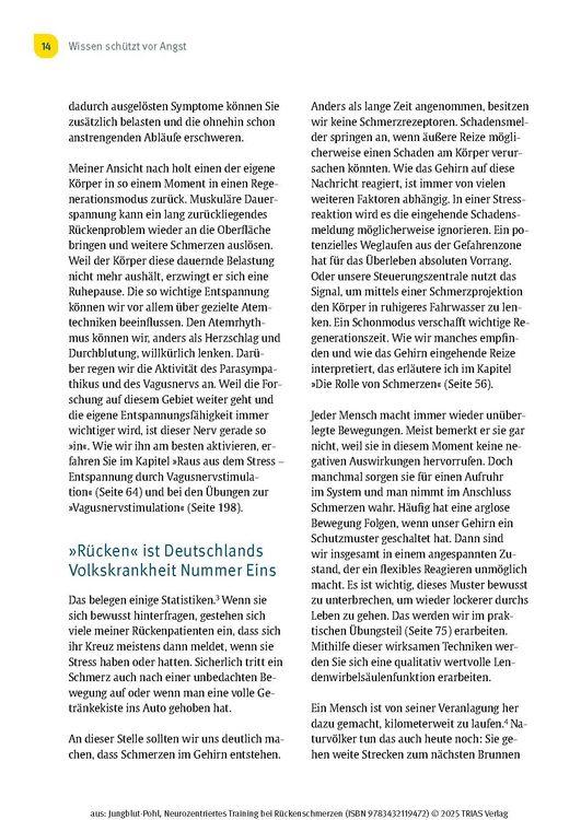 Neurozentriertes Training bei Rückenschmerzen